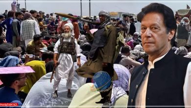 pakistan to hand over 272 afghan refugees