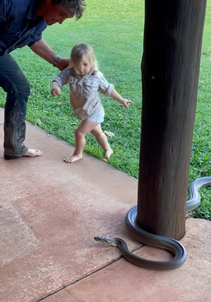 2-year-old-child-grabbed-7-feet-snake