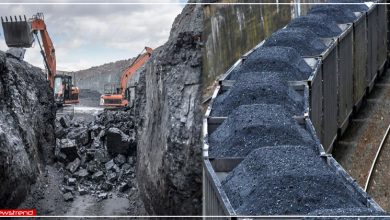 Coal