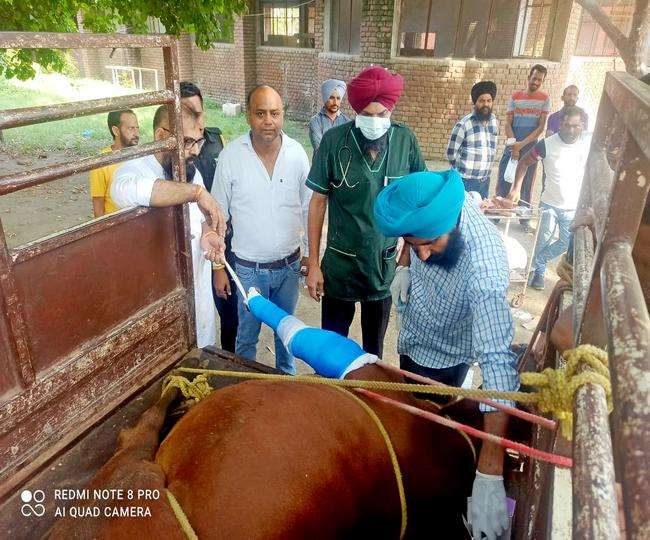 Gurudaspur Slaughter House