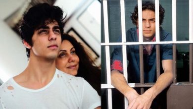 aryan khan custody