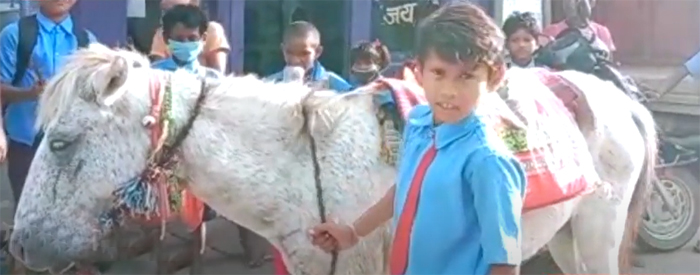chhattisgarh-class-5th-student-rides-horse-to-reach-school
