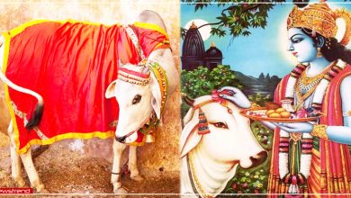 gopashtami