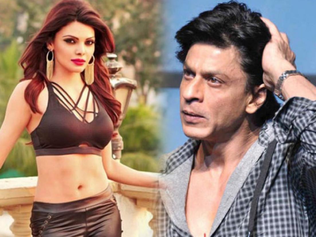 shahrukh khan and Sherlyn Chopra