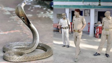 snake in police station