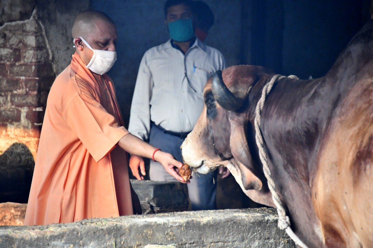 CM Yogi Adityanath in Gorakhpur