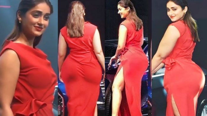 ileana d'cruz 