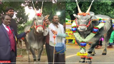 krishna-bull-sold-for-1-crore-in-krishi-mela-bengaluru-2021