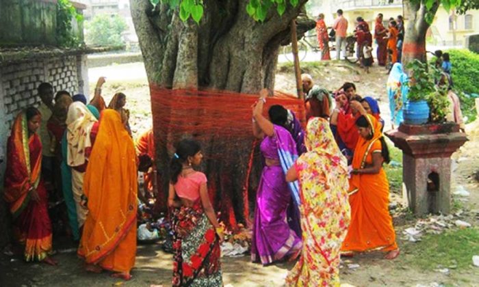 worship peepal tree on saturday