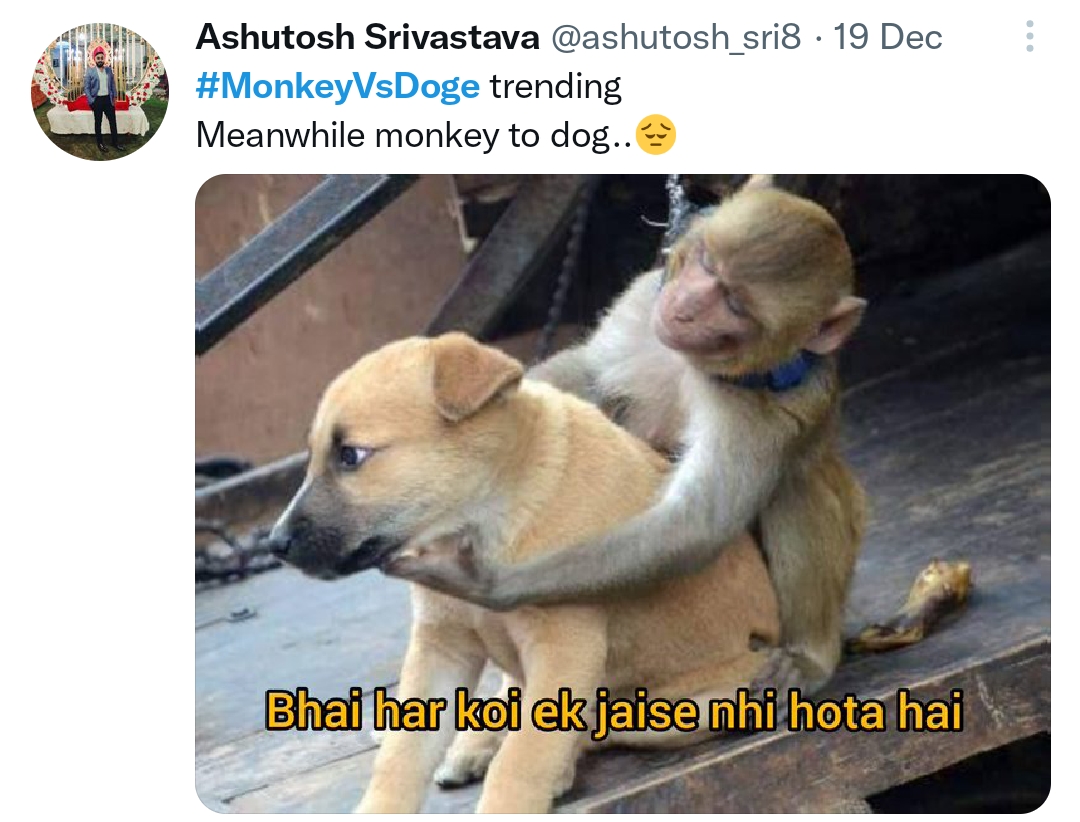 Two Monkeys Captured In Maharastra