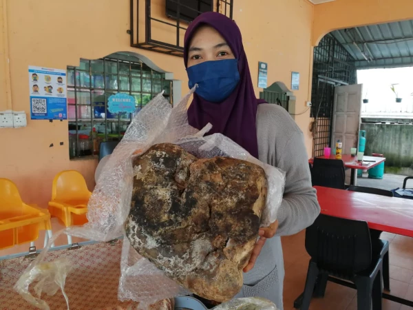 whale-vomit-found-in-malaysia