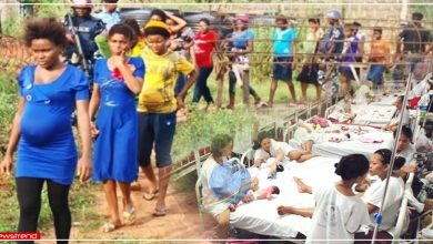 Baby Farming nigeria
