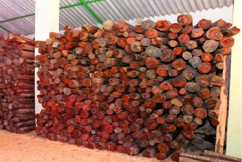 Red Sandalwood