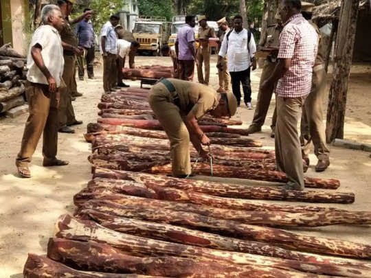 Red Sandalwood