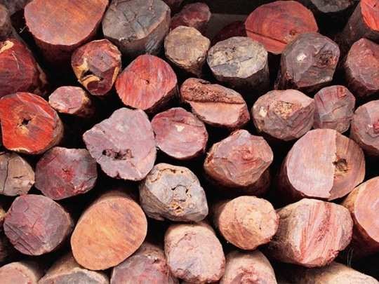 Red Sandalwood