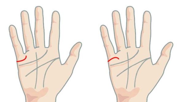 marriage line in palm