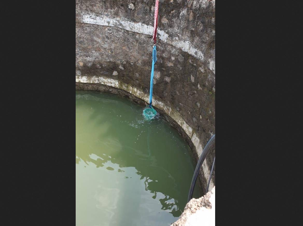 well in india