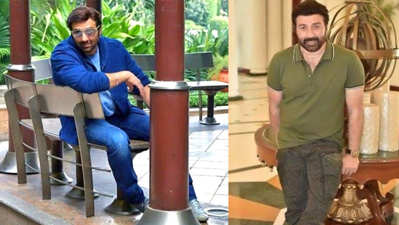 sunny deol