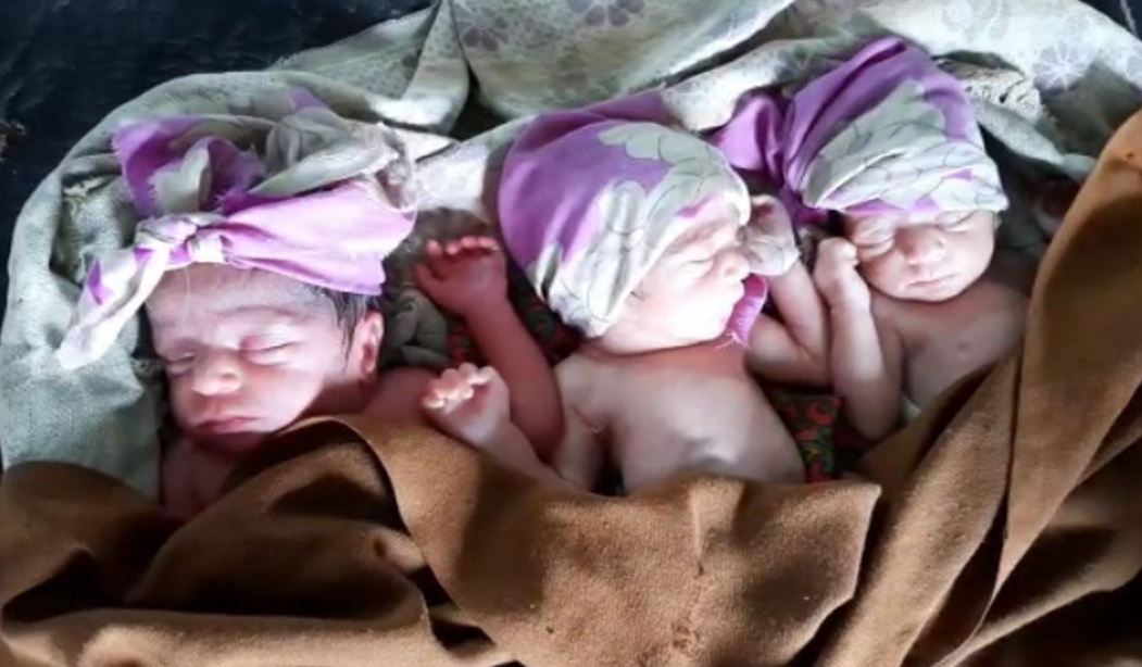 newborn baby 