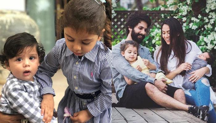 shahid kapoor mira with kids