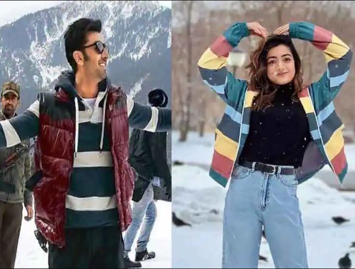 ranbir and rashmika