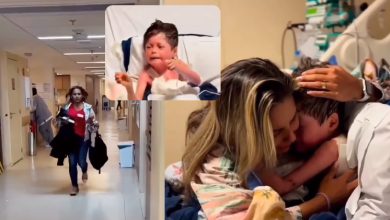 Baby returned to mother's lap after 16 days of coma