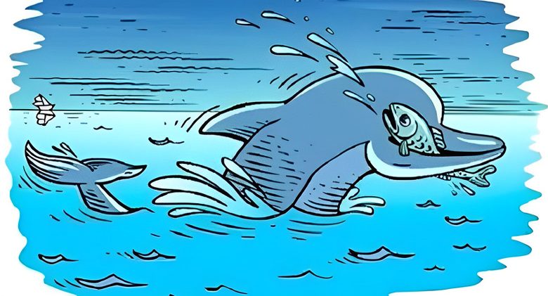 optical illusion dolphin